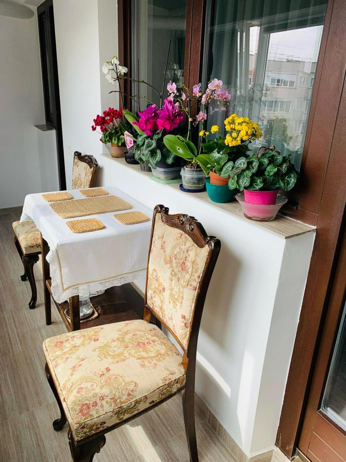 Sofiart Apartment Bucureşti Exterior foto